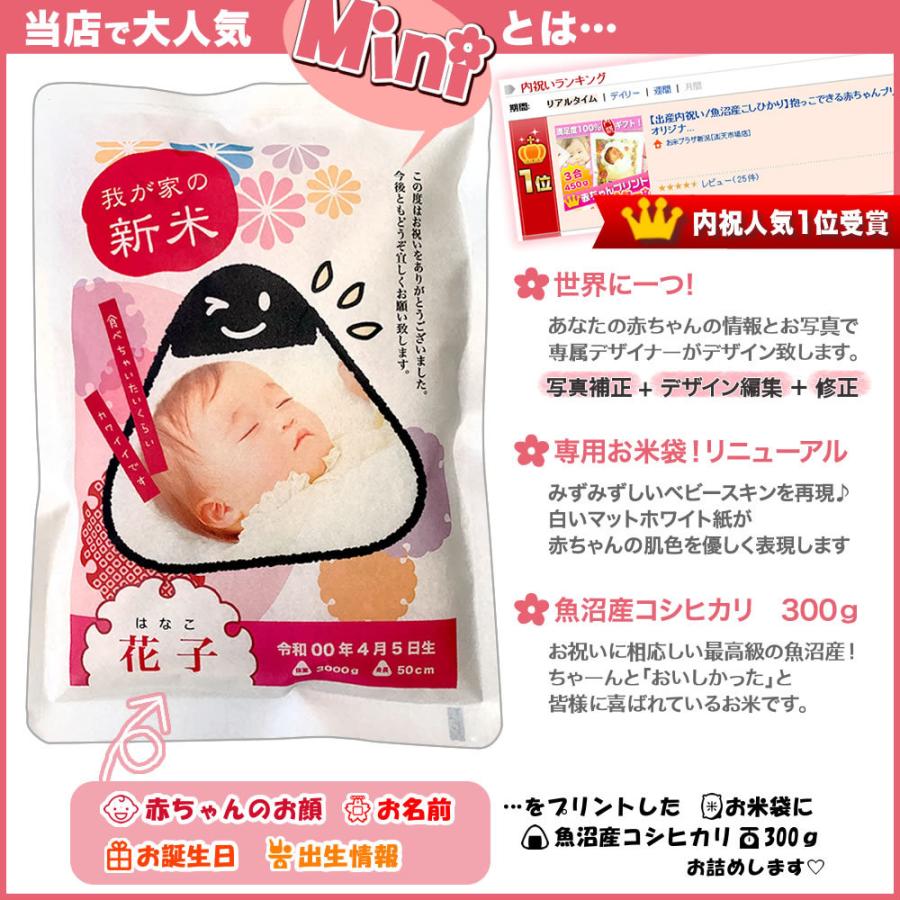 新米 抱っこできる赤ちゃんプリントmini 300g 11袋 令和3年産 魚沼産コシヒカリ 送料無料 北海道 九州 沖縄除く Pp Mini300 10set お米プラザ新潟yahoo 店 通販 Yahoo ショッピング