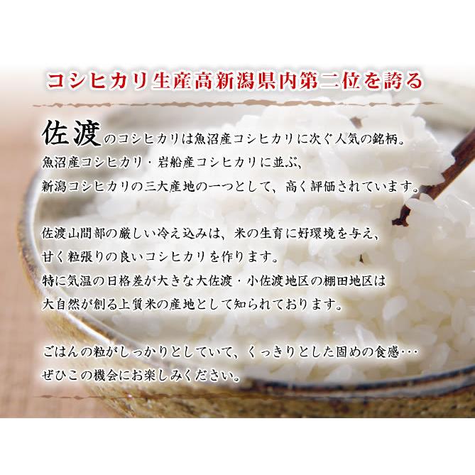 新米 佐渡産コシヒカリ 25kg 玄米 令和6年産 お米 送料無料 （北海道  
