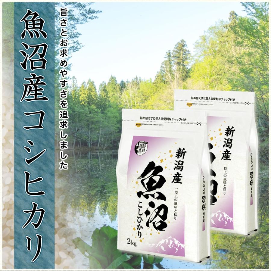 コシヒカリ 令和7年産 産直 魚沼産 4kg(2kg×2袋) 米 新潟産 新鮮密封
