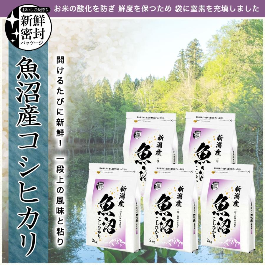 コシヒカリ 令和7年産 産直 魚沼産 10kg(2kg×5袋) 米 新潟産 新鮮密封