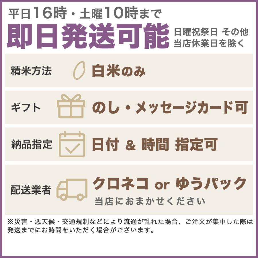 新之助（しんのすけ） 令和7年産 新潟産 4kg(2kg×2袋) 米 新鮮密封