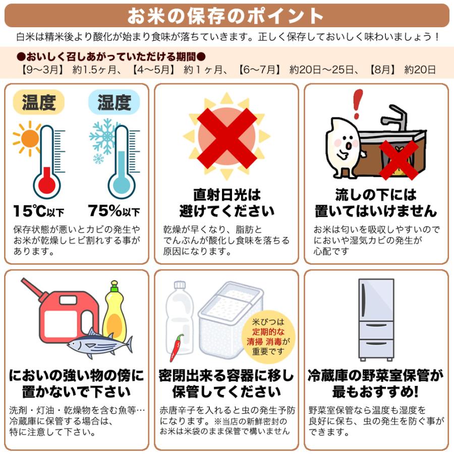 新之助（しんのすけ） 新米 令和7年産 新潟産 チャック付き保存袋 5kg