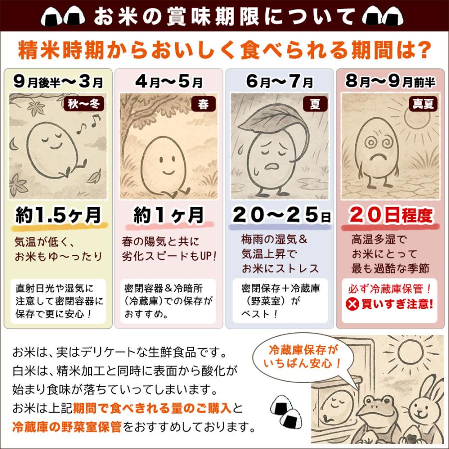 新潟産 心之助 5kg × ２袋セット 新之助（しんのすけ） 令和7年産 新潟産 10kg(5kg×2袋) 米 チャック