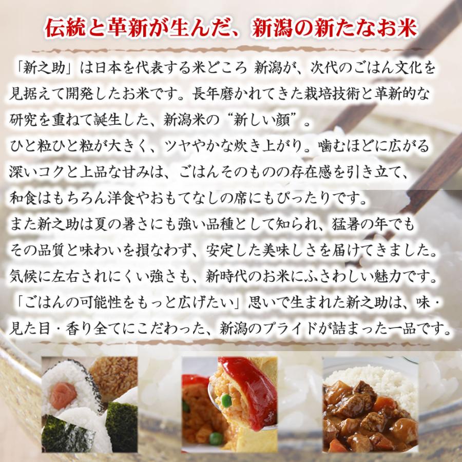 新之助（しんのすけ） 令和7年産 新潟産 保存に便利なチャック付米袋