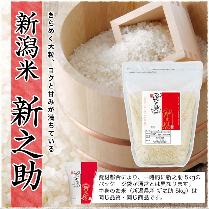 新之助（しんのすけ） 令和7年産 新潟産 チャック付き保存袋 5kg 米