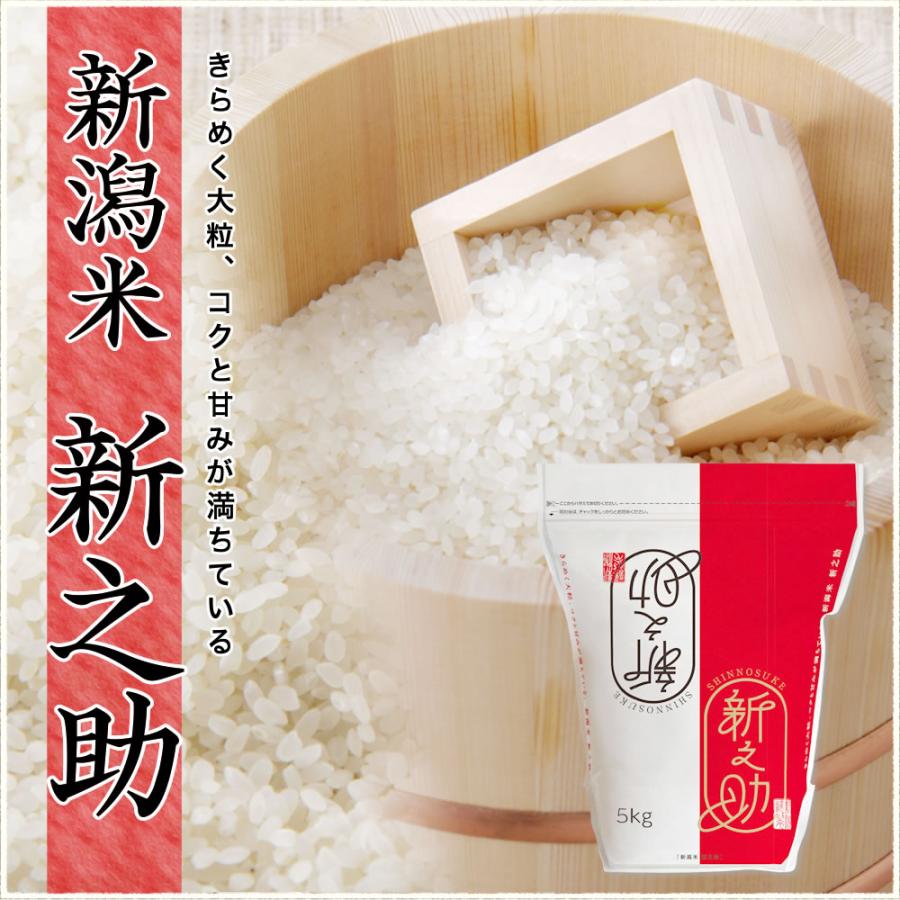 新之助（しんのすけ） 令和7年産 新潟産 チャック付き保存袋 5kg 米