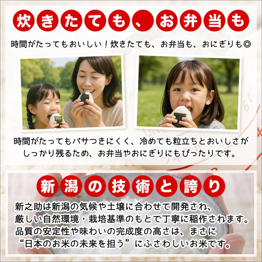 新之助（しんのすけ） 新米 令和7年産 新潟産 チャック付き保存袋 5kg