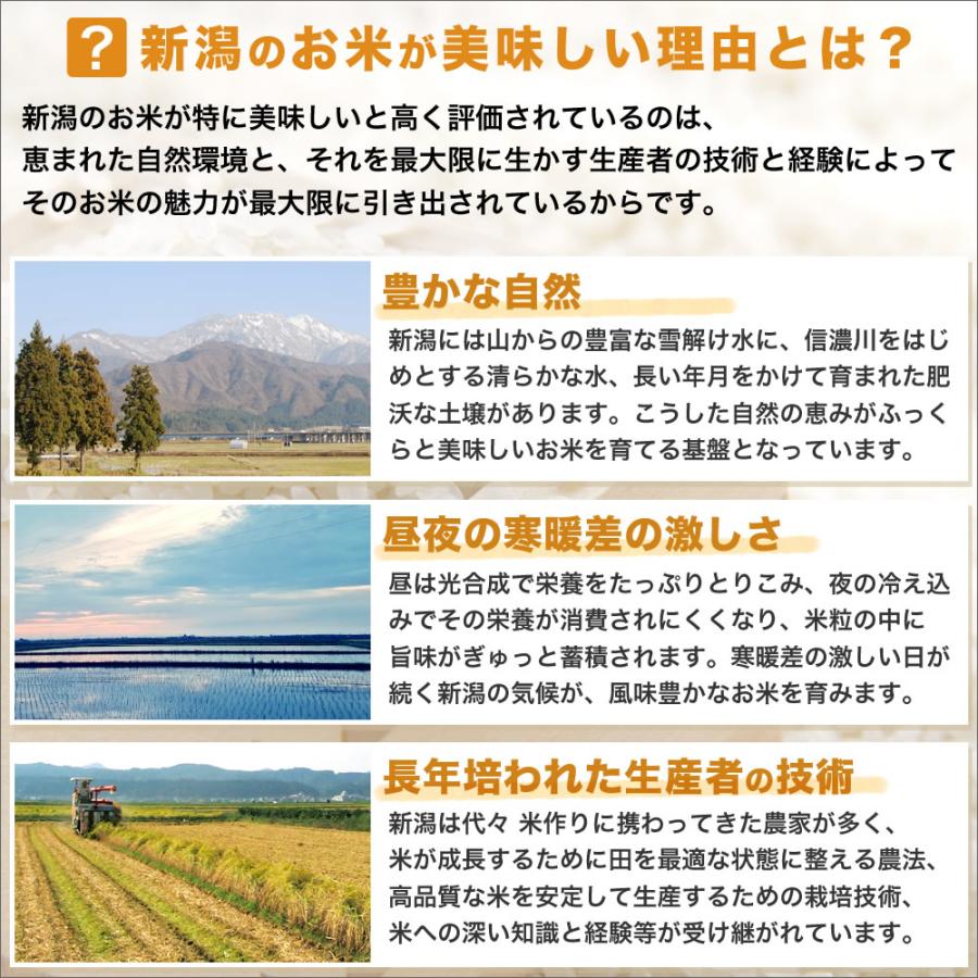新之助（しんのすけ） 新米 令和7年産 新潟産 10kg(5kg×2袋) 米