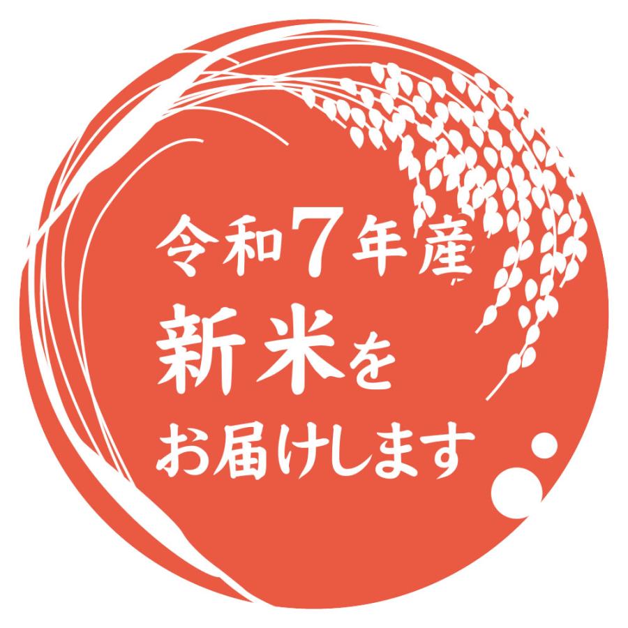 新之助 新米 令和7年産 新潟産 10kg(5kg×2袋) 米 チャック付き