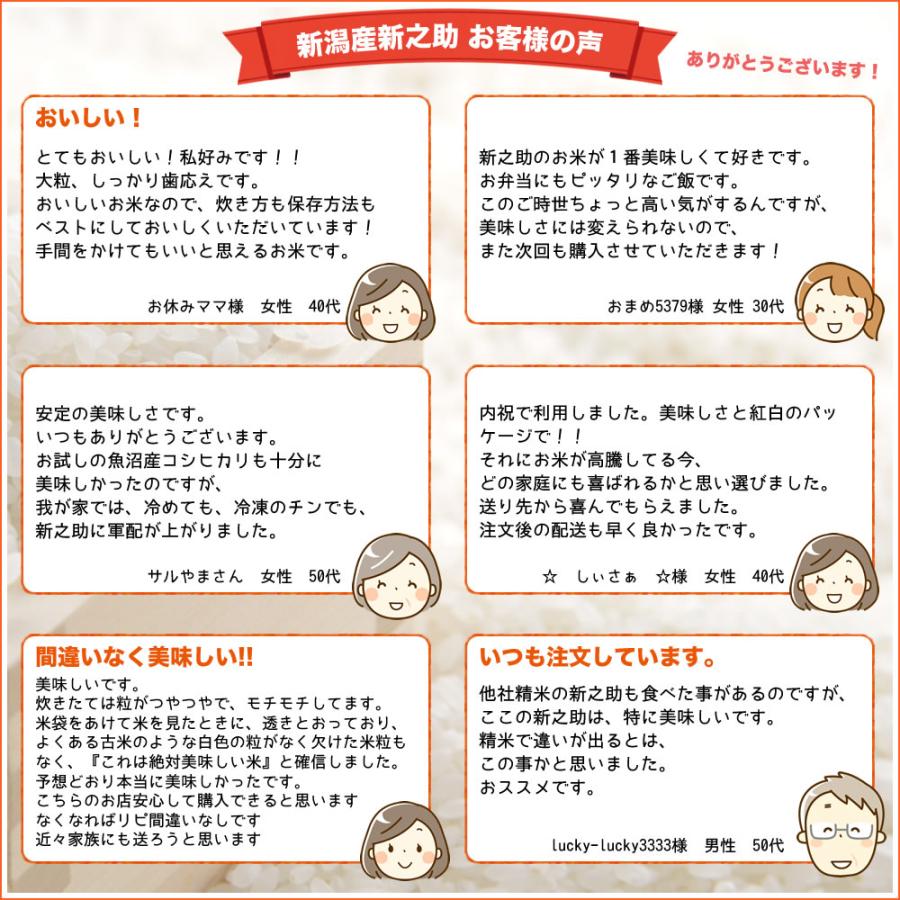 新之助5キロ×2袋（10キロ） 新之助（しんのすけ） 新米 令和7年産 新潟産 10kg(5kg×2袋) 米