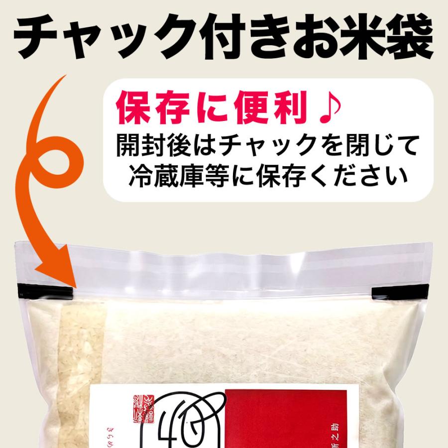 新之助（しんのすけ） 令和7年産 新潟産 10kg(5kg×2袋) 米 保存に便利