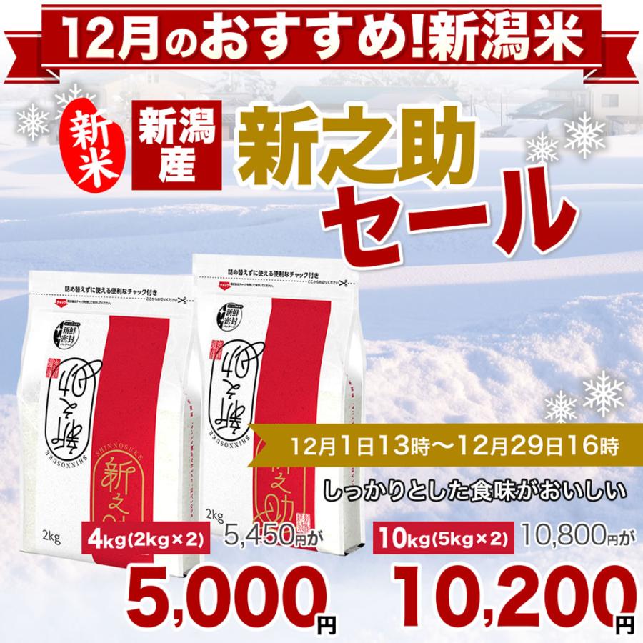新之助（しんのすけ） 新米 令和7年産 新潟産 10kg(2kg×5袋) 米 新鮮