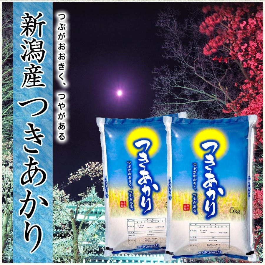 新米】令和4年産 お米 5kg つきあかり 新潟産 送料無料(北海道、九州、沖縄除く)【11月のおすすめ銘柄】 :tukiakari05:お米プラザ新潟Yahoo!店 - 通販 - Yahoo!ショッピング 新米】令和4年産 お米 5kg つきあかり 新潟産 送料無料(北海道、九州、沖縄除く)【11月のおすすめ銘柄】 :tukiakari05:お米プラザ新潟Yahoo!店 - 通販 - Yahoo!ショッピング