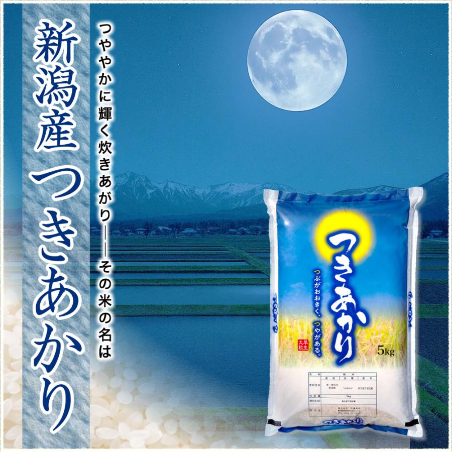 新米 令和7年産 新潟産 つきあかり 25kg (5kg×5袋) 玄米 送料無料