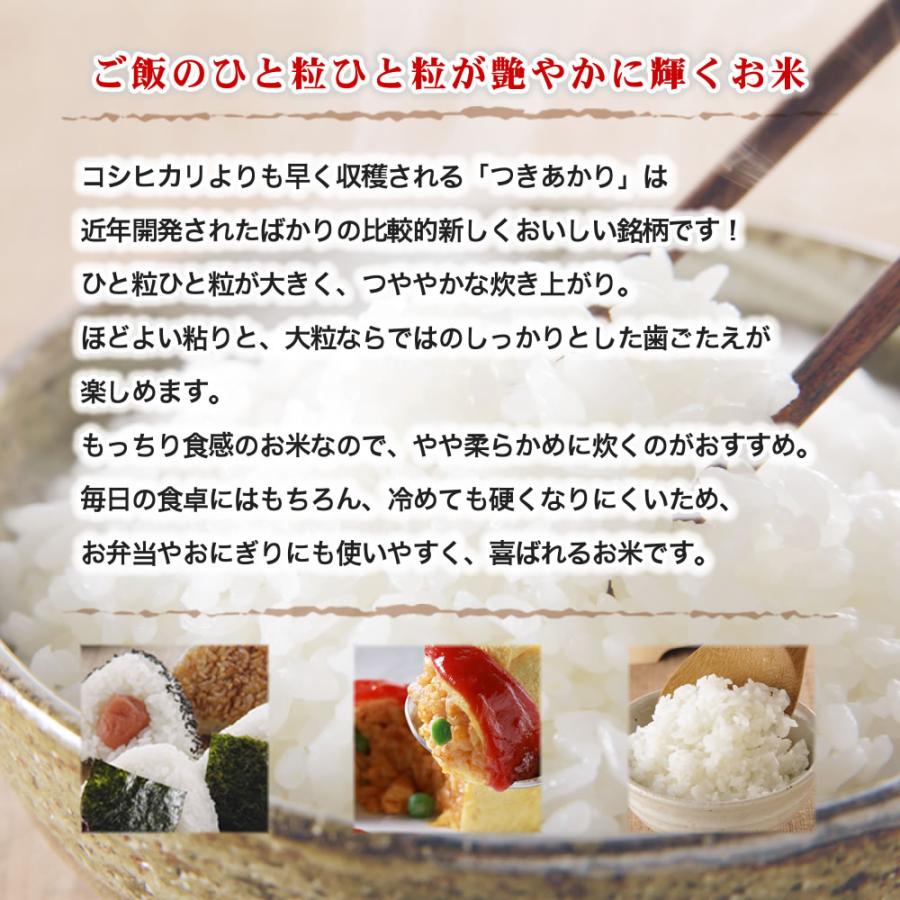 令和7年産 新潟産 つきあかり 25kg (5kg×5袋) 玄米 送料無料（北海道