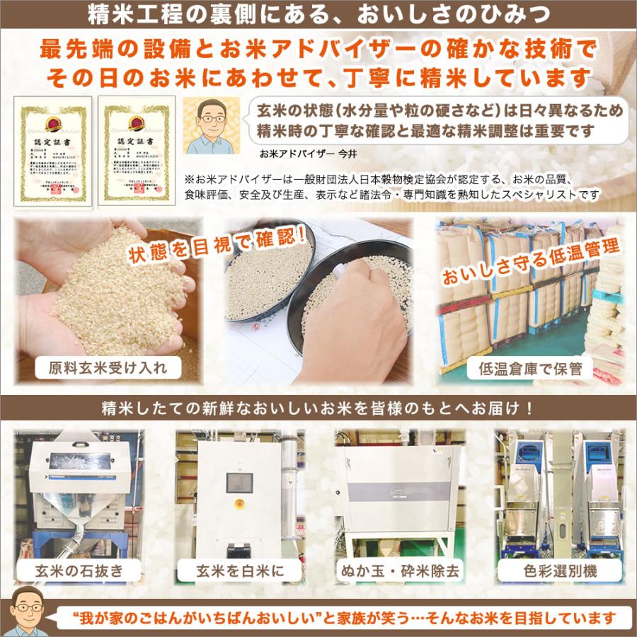 コシヒカリ 令和7年産 特選 魚沼産 3kg 米 新潟産 送料無料 （北海道