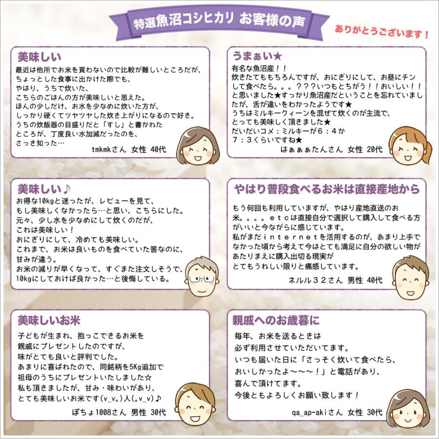 コシヒカリ 令和7年産 特選 魚沼産 3kg 米 新潟産 送料無料 （北海道