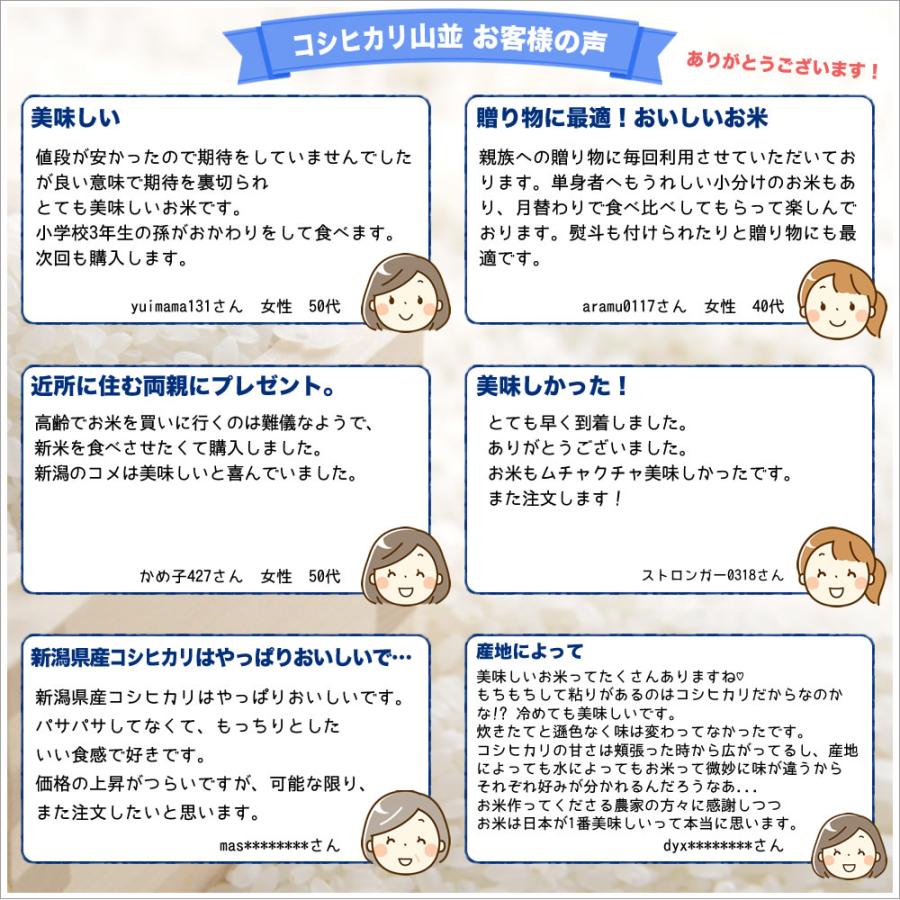 コシヒカリ 新潟産コシヒカリ 山並 令和7年産 15kg(5kg×3袋) お米 精米
