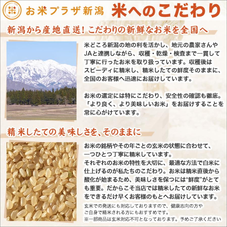 コシヒカリ 令和7年産 新潟産 山並 25kg(5kg×5袋) 玄米 送料無料