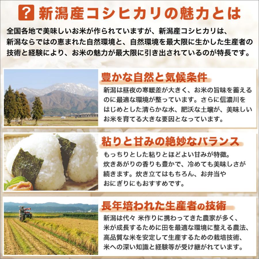 コシヒカリ 令和7年産 新潟産 山並 25kg(5kg×5袋) 玄米 送料無料