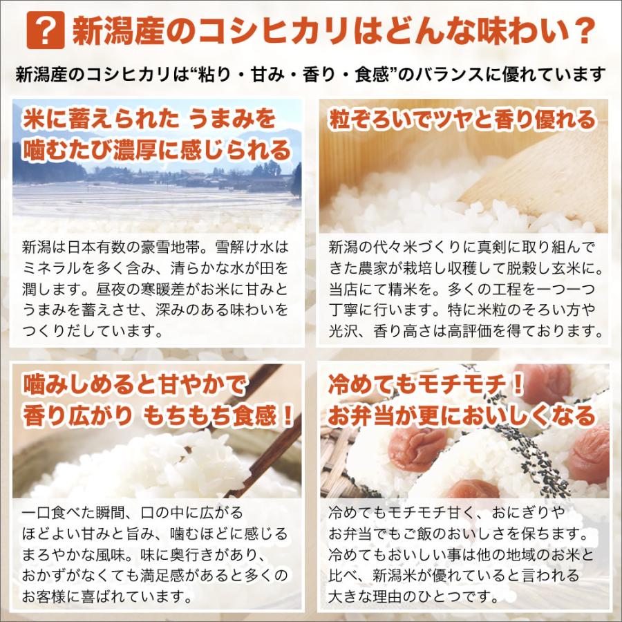コシヒカリ 令和7年産 新潟産 山並 25kg(5kg×5袋) 玄米 送料無料