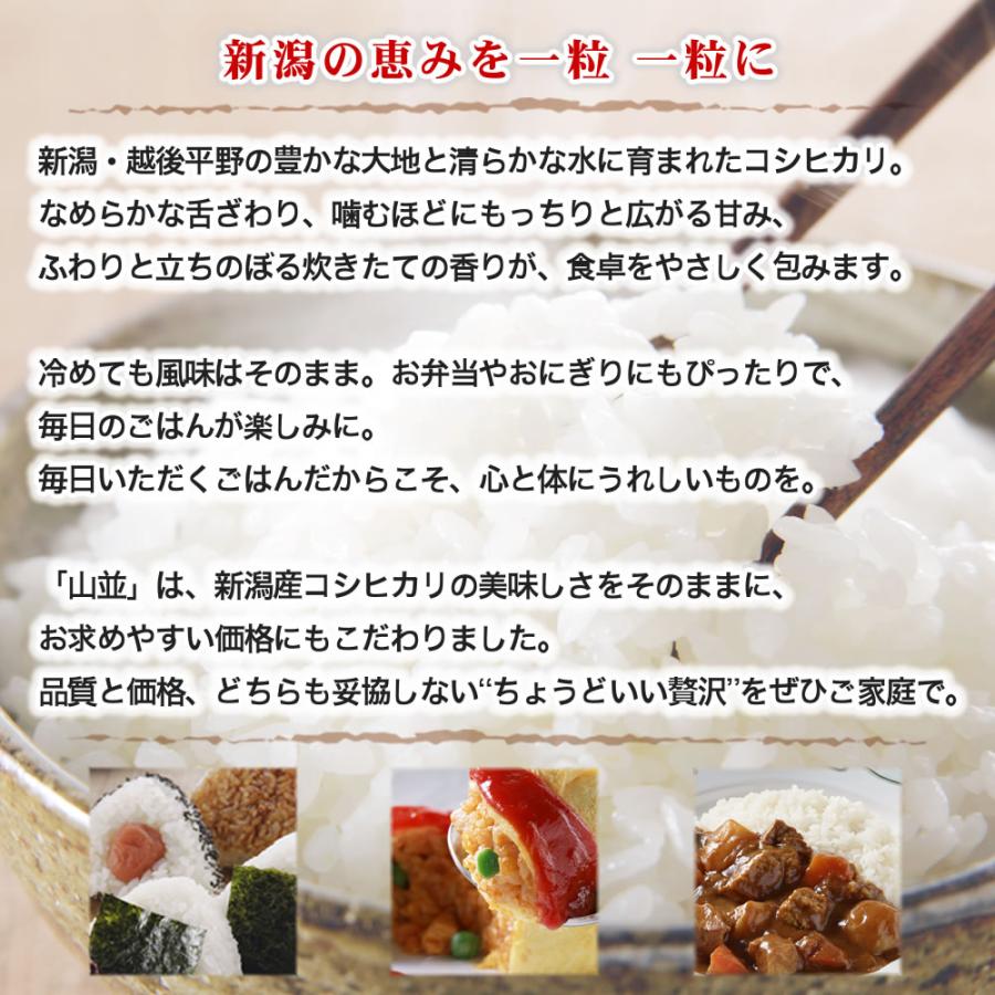 コシヒカリ 令和7年産 新潟産 山並 25kg(5kg×5袋) 玄米 送料無料