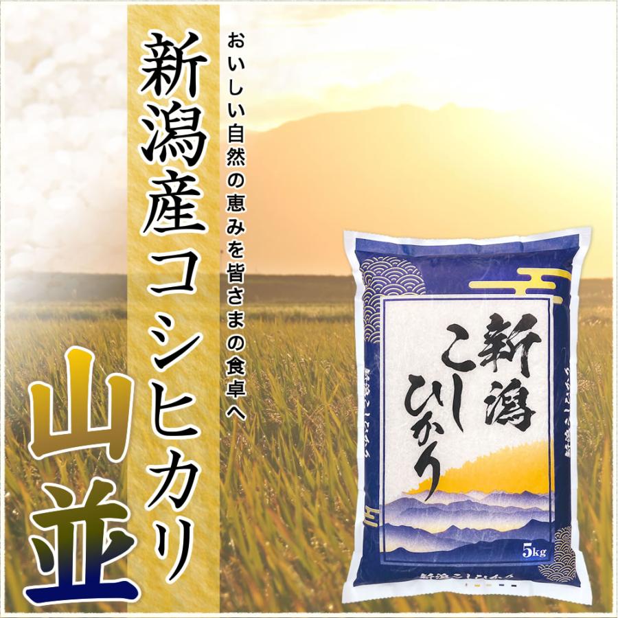 コシヒカリ 新潟産コシヒカリ 山並 令和7年産 25kg(5kg×5袋) お米 玄米