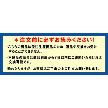 レーシングカート用 カウルステッカー フリーライン用 Y07-YbM 特注品｜imagine-style｜02