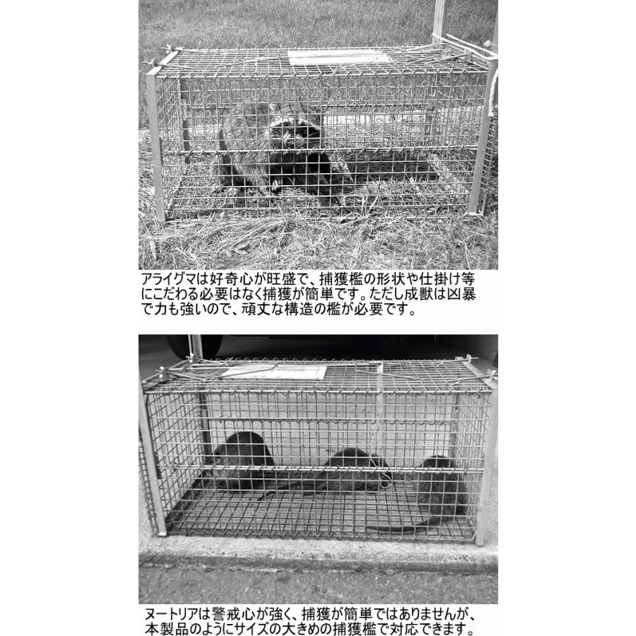 陸網技研 小動物捕獲器 イージーキャッチャー RK10F 約38cm×40cm 陸網技研 小動物捕獲器 イージーキャッチャー RK10F 約38cm×40cm