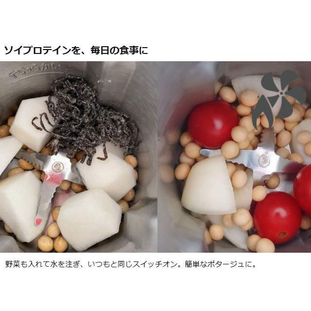 福農産業 豆乳メーカー ピーレチェ（P-leche） プラントミルクメーカー