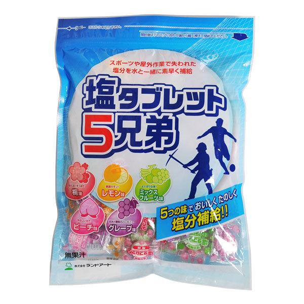 【新品・未開封】　塩タブレット5兄弟×10袋 1ケースまとめ買い ランドアート 塩タブレット5兄弟 500g×10袋 1ケースまとめ買い ランドアート 2025年