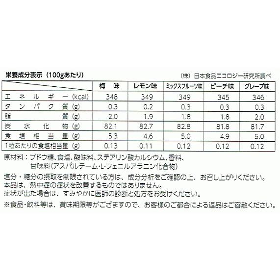 塩タブレット5兄弟 50g×4袋まとめ買い ランドアート 2024年最新入荷｜imaginet-de｜05