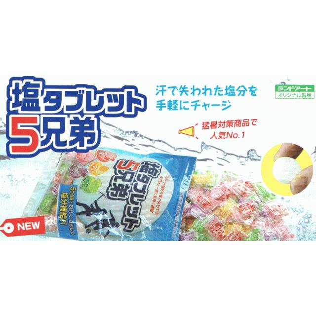 【新品・未開封】　塩タブレット5兄弟×10袋 1ケースまとめ買い ランドアート □塩タブレット5兄弟□ 500g×10袋 1ケースまとめ買い ランドアート