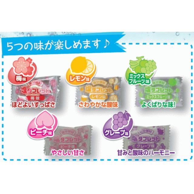 【新品・未開封】　塩タブレット5兄弟×10袋 1ケースまとめ買い ランドアート □塩タブレット5兄弟□ 500g×10袋 1ケースまとめ買い ランドアート