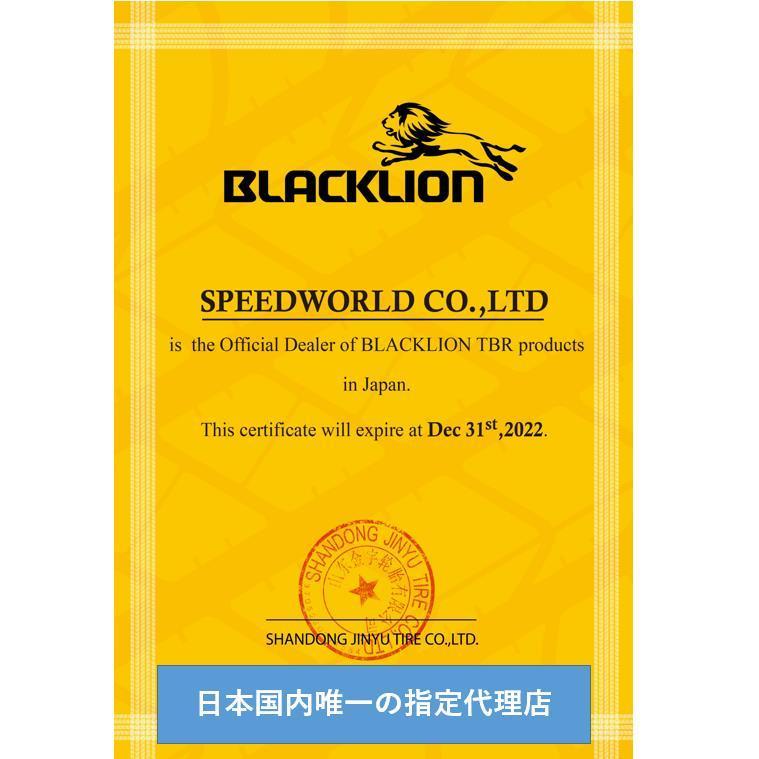 11R22.5 16PR 148/145G BD189 新品 トラックタイヤ 大型車用 ブラック