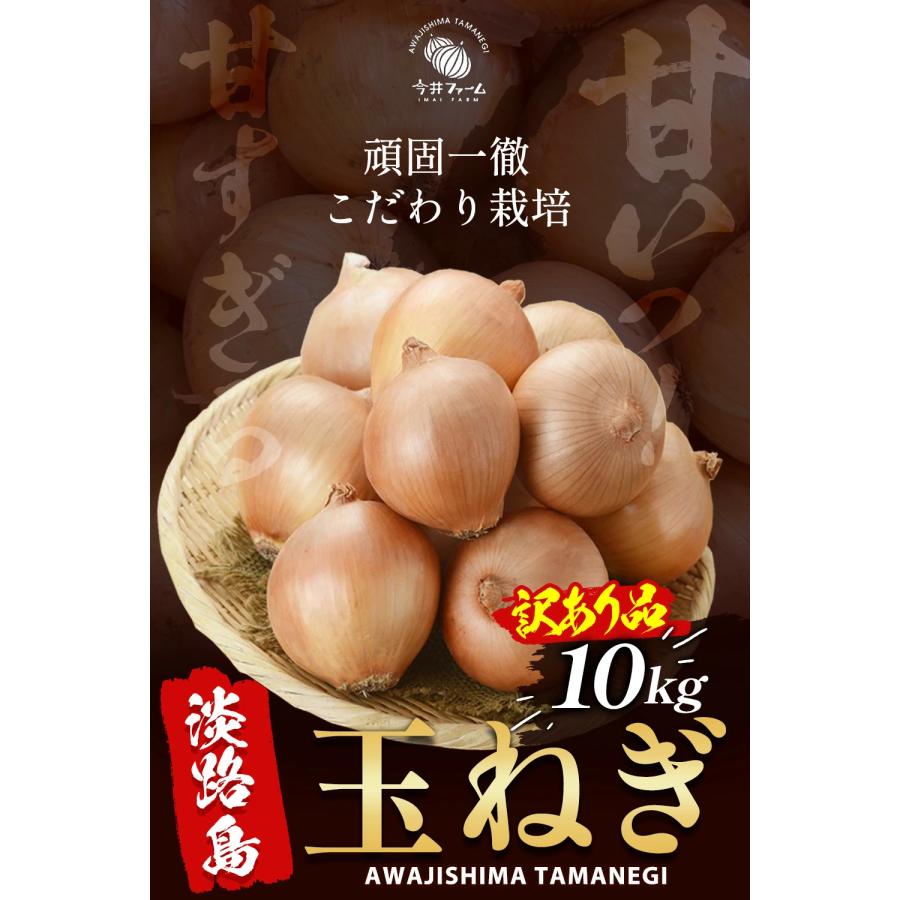 玉ねぎ 10kg 訳あり 淡路島 ＃淡路玉ねぎ【訳あり】10K＃ : 淡路島