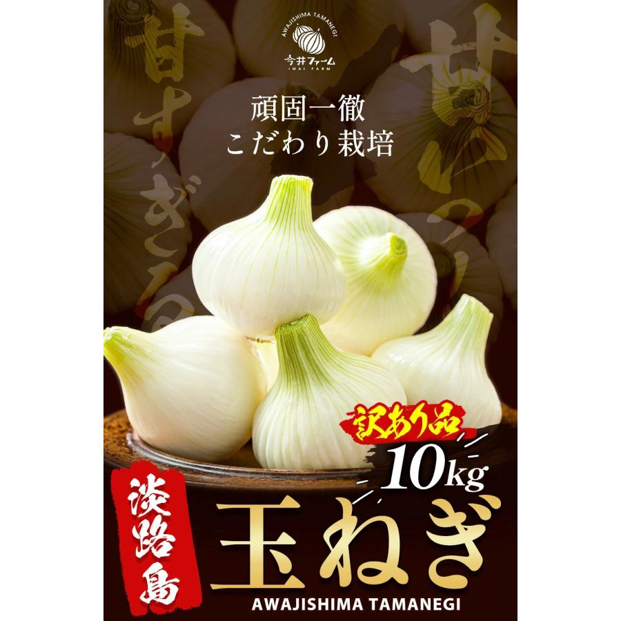 玉ねぎ 10kg 訳あり 新玉ねぎ 淡路島【予約】 ＃淡路玉ねぎ【訳