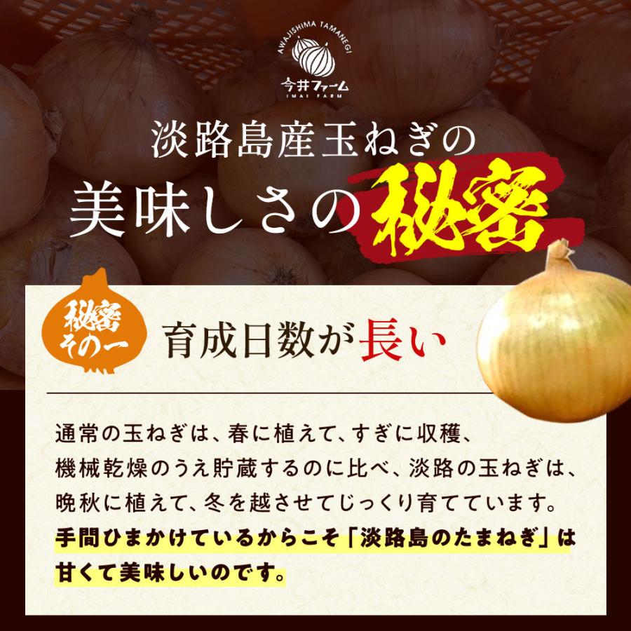 玉ねぎ 20kg たまねぎ 淡路島 玉葱 今井ファーム ＃淡路島玉ねぎ20kg