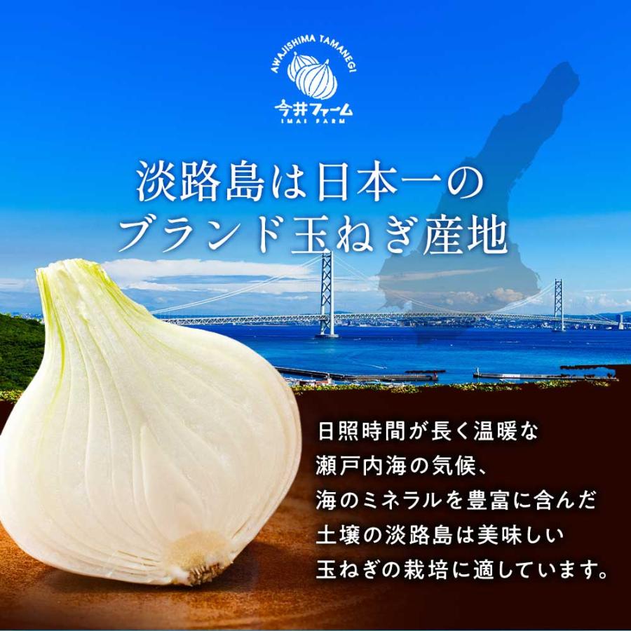 玉ねぎ 20kg たまねぎ 淡路島 玉葱 今井ファーム ＃淡路島玉ねぎ20kg