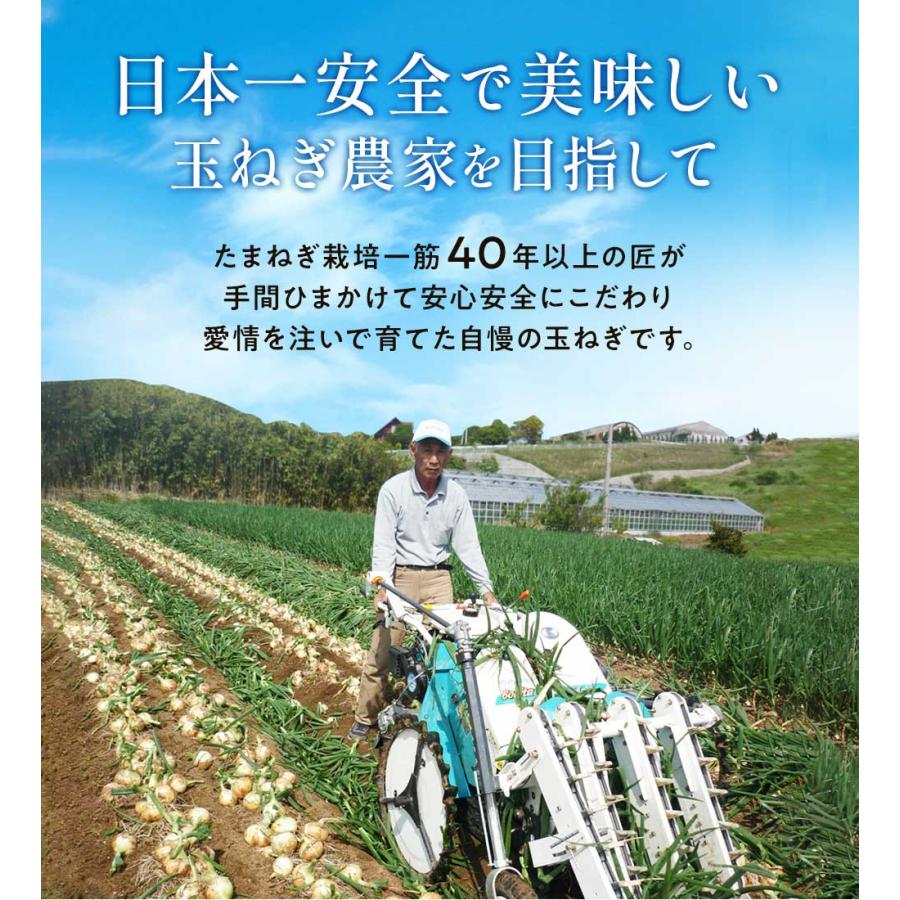 玉ねぎ 20kg たまねぎ 淡路島 玉葱 今井ファーム ＃淡路島玉ねぎ20kg