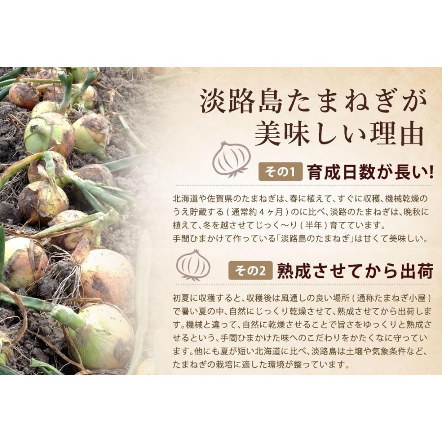 予約商品 今井ファーム淡路島新たまねぎ かくし玉 2キロ Awaji 2 淡路島たまねぎ今井ファ ム 通販 Yahoo ショッピング