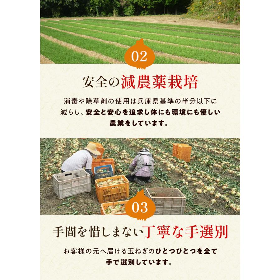 玉ねぎ 2kg たまねぎ 淡路島 かくし玉 玉葱 今井ファーム ＃かくし玉2Ｋ＃ 爆買 |  | 03