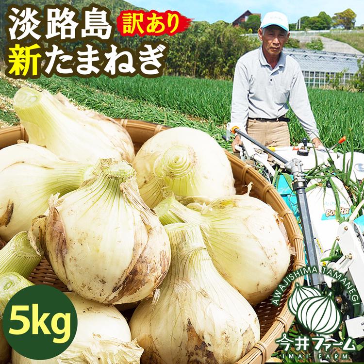 玉ねぎ 訳あり 5kg 新玉ねぎ 淡路島【予約】＃訳あり淡路玉ねぎ5Ｋ＃  【5月頃より順次発送予定】（Yahoo!・淡路島たまねぎ今井ファ-ム）