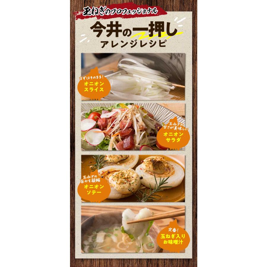 たまねぎ 淡路島 5kg 訳あり 玉ねぎ 玉葱 今井ファーム ＃訳あり淡路