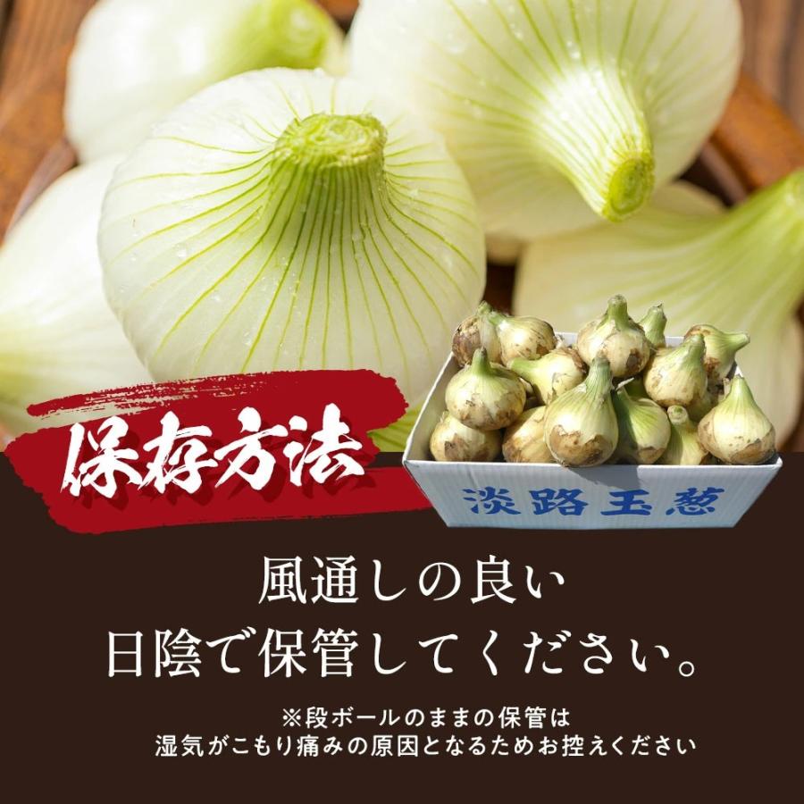 玉ねぎ 訳あり 5kg 新玉ねぎ 淡路島 ＃訳あり淡路玉ねぎ5K＃ : 淡路島
