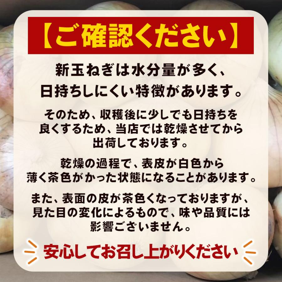 玉ねぎ 訳あり 5kg 新玉ねぎ 淡路島 ＃訳あり淡路玉ねぎ5K＃ : 淡路島