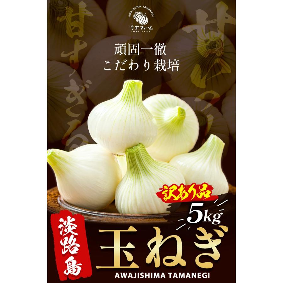 新たまねぎ 淡路島 たまねぎ 5kg 訳あり 玉ねぎ 玉葱 新玉葱 新玉ねぎ 新玉 今井ファーム ＃訳あり淡路玉ねぎ5Ｋ＃｜imaifarm｜02