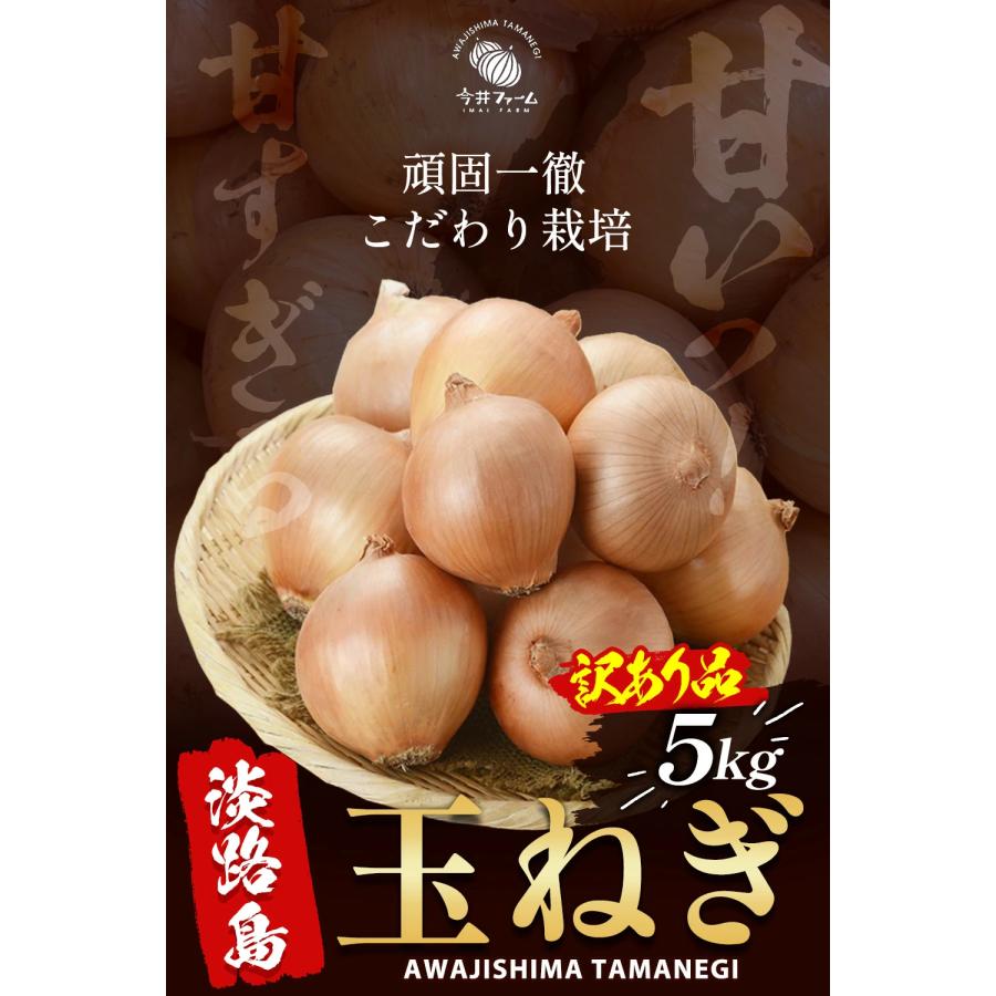 たまねぎ 淡路島 5kg 訳あり 玉ねぎ 玉葱 今井ファーム ＃訳あり淡路