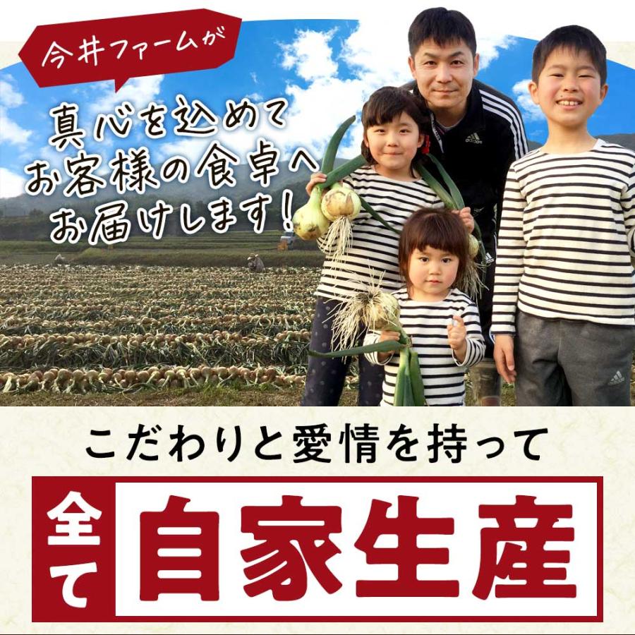 たまねぎ 淡路島 5kg 訳あり 玉ねぎ 玉葱 今井ファーム ＃訳あり淡路