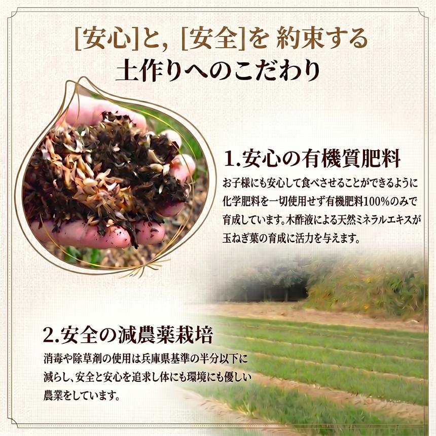 たまねぎ 訳あり かくし玉 2kg 淡路島 2セット以上購入で増量 玉ねぎ